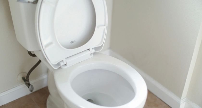Сыплю соль в унитаз и радуюсь результату: лайфхак, о котором молчат сантехники Сыплю соль в унитаз и радуюсь результату: лайфхак, о котором молчат сантехники