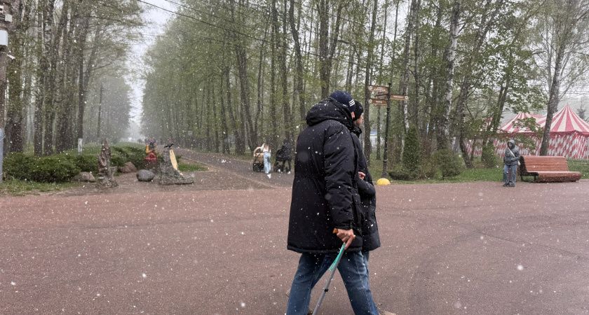 "Дожди и снег на Первомай": синоптики обновили прогноз на аномальный май 2025