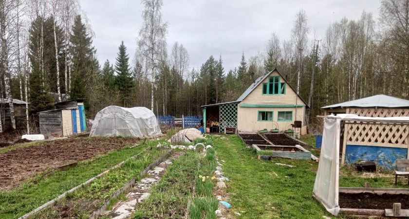  19       :   