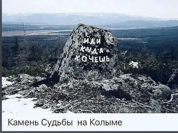     :    ?