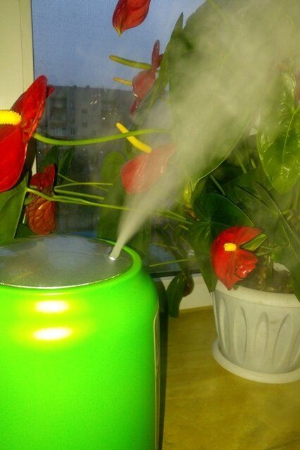 Забота о воздухе: увлажнитель как «незаменимый» зимний помощник