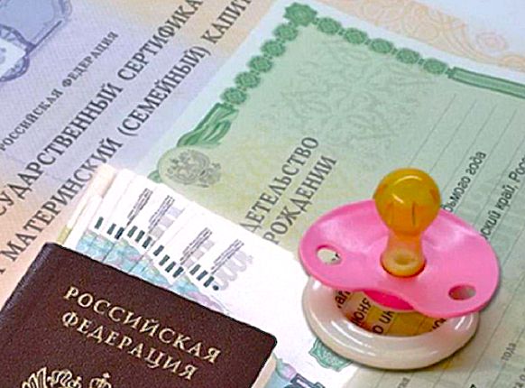 Новая возможность для родителей: выплаты из материнского капитала доступны даже без официальной работы