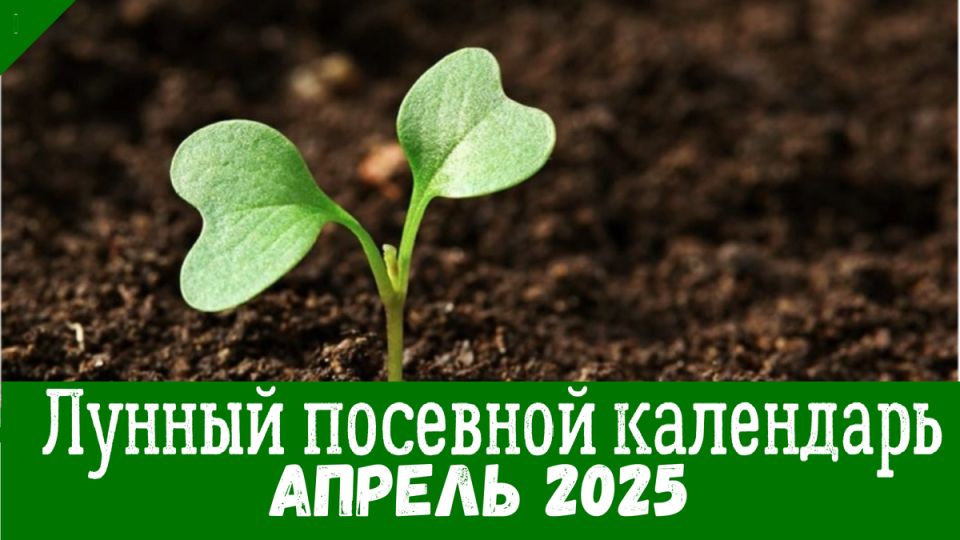 Апрель 2025 года: Лунный календарь для дачников — благоприятные дни для посадок