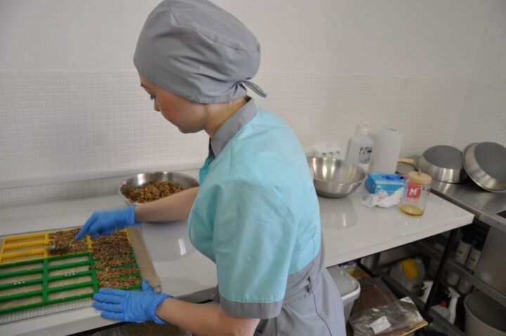 Международный день повара и кулинара: Праздник мастерства и вдохновения
