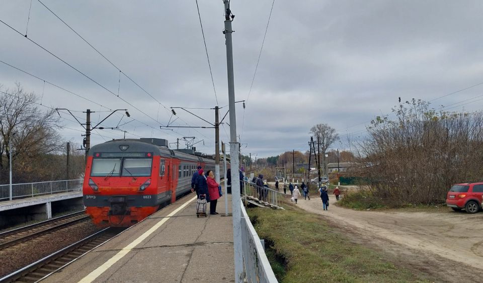 Как дача помогает расслабиться: последний урожай и подготовка к зиме
