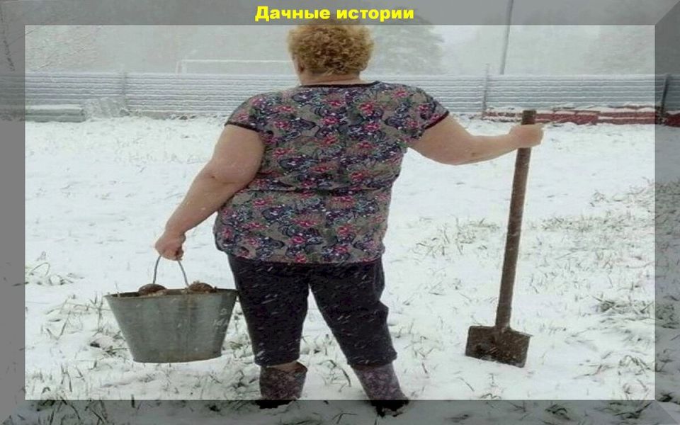 Советы по посадке картофеля: секреты богатого урожая