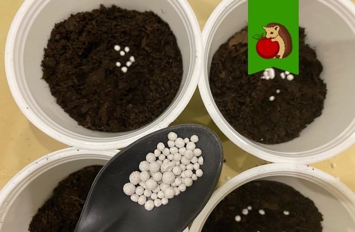 Тайны крепкой рассады: три секретные добавки для идеального грунта