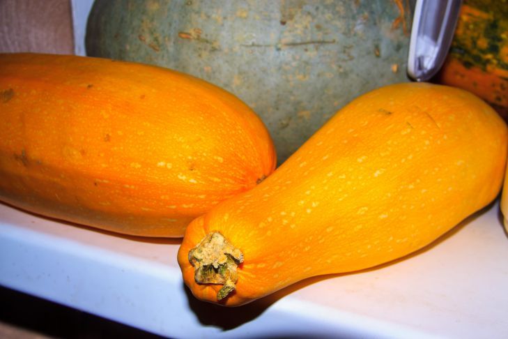 Сладкая каша из тыквы на завтрак: рецепт из детства