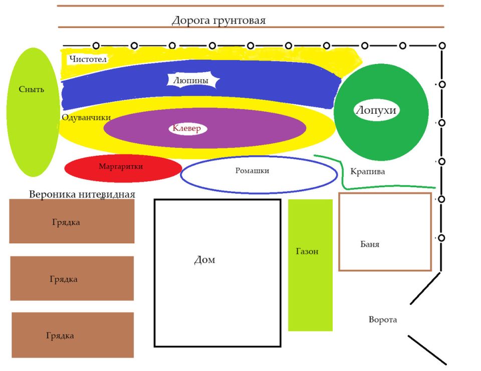 Полевые цветники: секреты ухоженной природы без забот