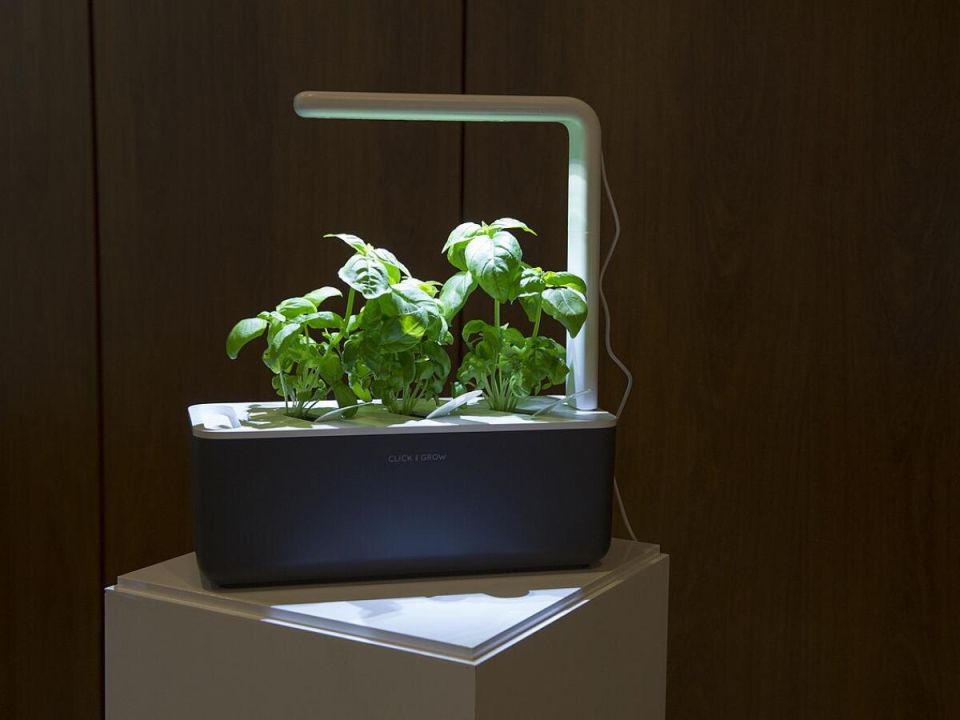 Фитолампы: необходимость или заблуждение дачников?