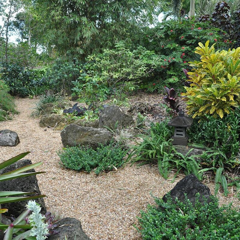 Как избежать проблем с растениями: три опасных гостя для вашего сада