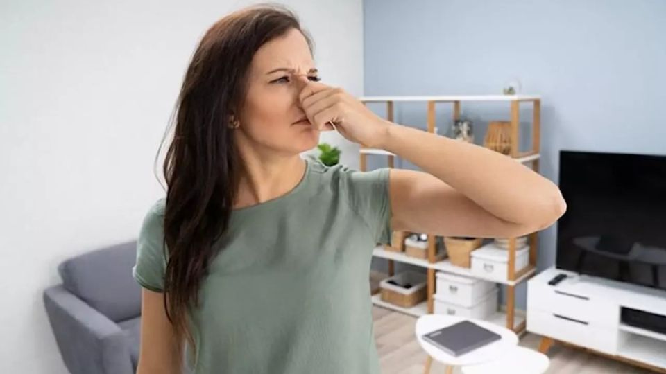 Как освежить старую квартиру: эффективные советы по борьбе с затхлым запахом