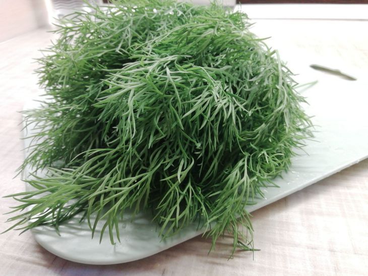 Забудьте о плесени: как сохранить зелень свежей 2 месяца с помощью ледяных кубиков