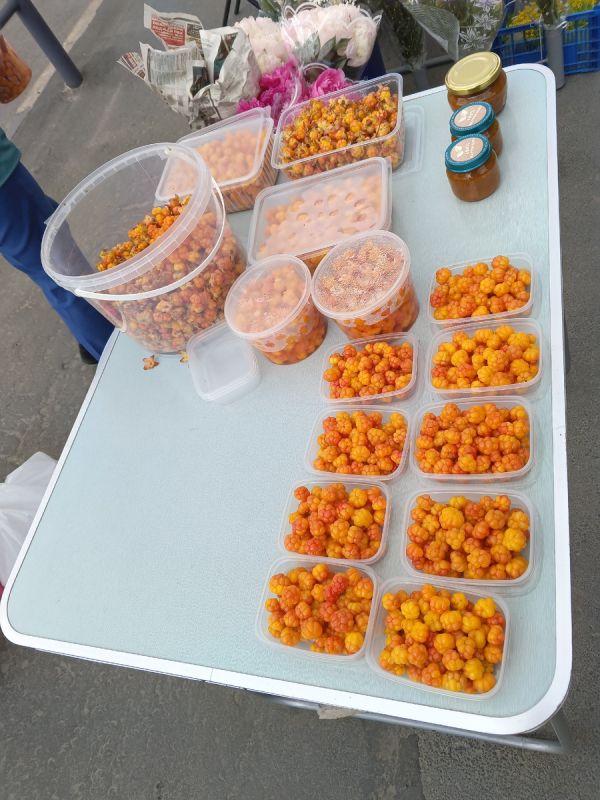 Загадка морошки: сокровище карельских болот завоевывает популярность