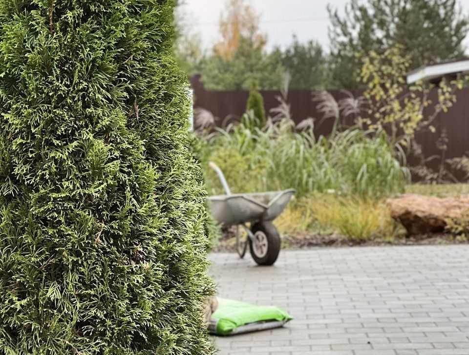 Создайте сад своей мечты: шаги к идеальному ландшафту с Ирсон Лазаревой