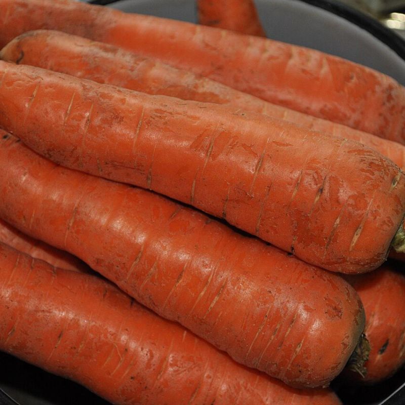 5 секретов идеальной моркови: как вырастить сладкие корнеплоды