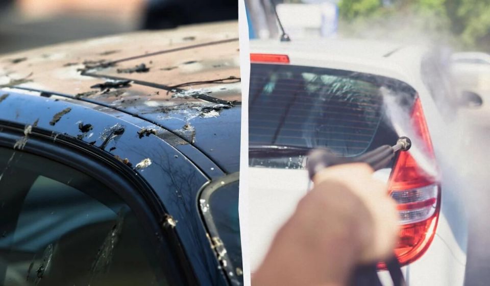 Как избавиться от птичьего помета на автомобиле: простые и эффективные способы