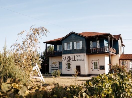 Винодельческие хозяйства Дона: как агротуризм стал причиной 80% прироста туристов