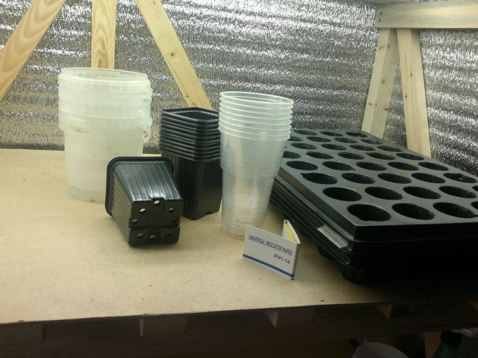 Как выбрать идеальную тару для рассады: практические советы для огородников