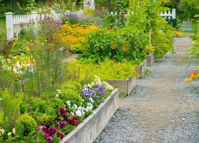 9 секретов успешного органического садоводства