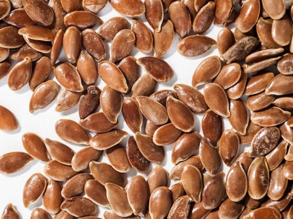 Выбор семян: остерегайтесь распространённых ошибок