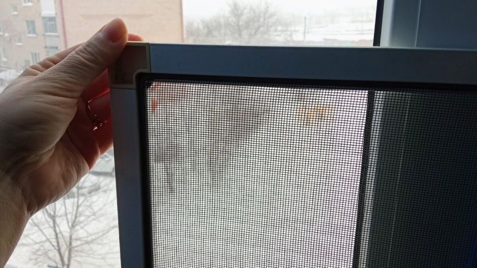 Зачем оставлять москитные сетки зимой: шокирующий опыт