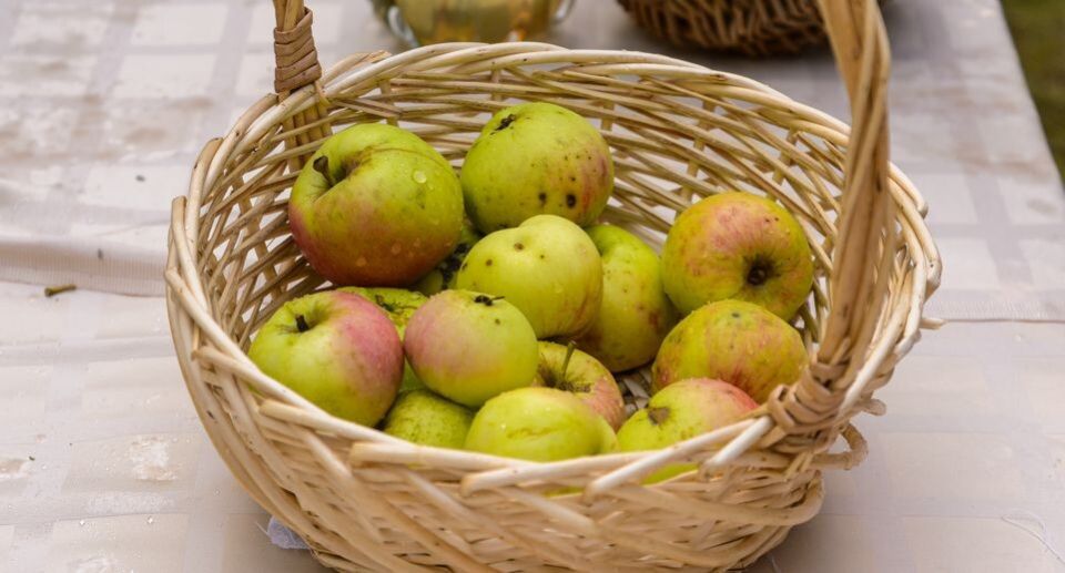 Флавоноиды в нашем рационе: как чай, шоколад и фрукты укрепляют сосуды