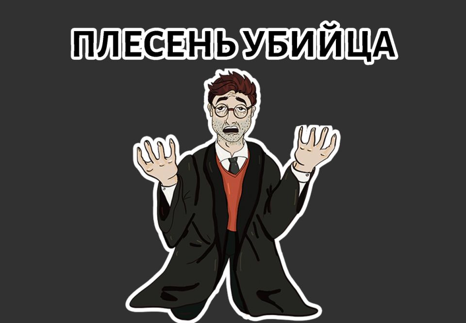 Плесень в доме: неожиданные угрозы для здоровья и уюта