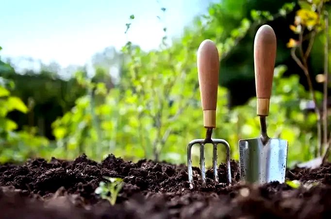 Как правильно подготовить грунт для рассады: советы от агрономов