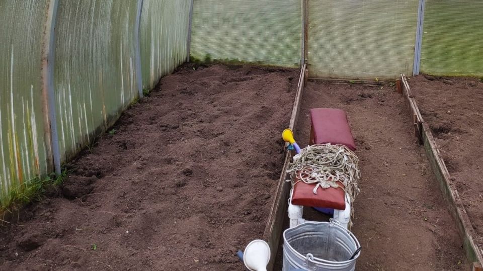 Эффективные народные методы обработки теплиц в ноябре: как защитить урожай от болезней