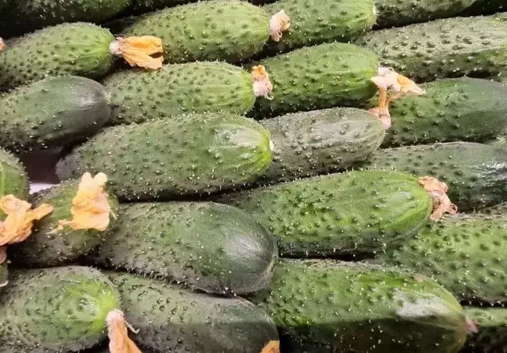 Эти 5 продуктов держат тело в тонусе все лето: простое меню — заметный результат