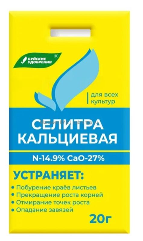 Как добиться крепкой рассады: секреты эффективной подкормки