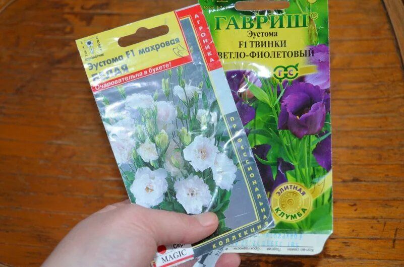 Посев эустомы: секреты успеха для цветущего сада