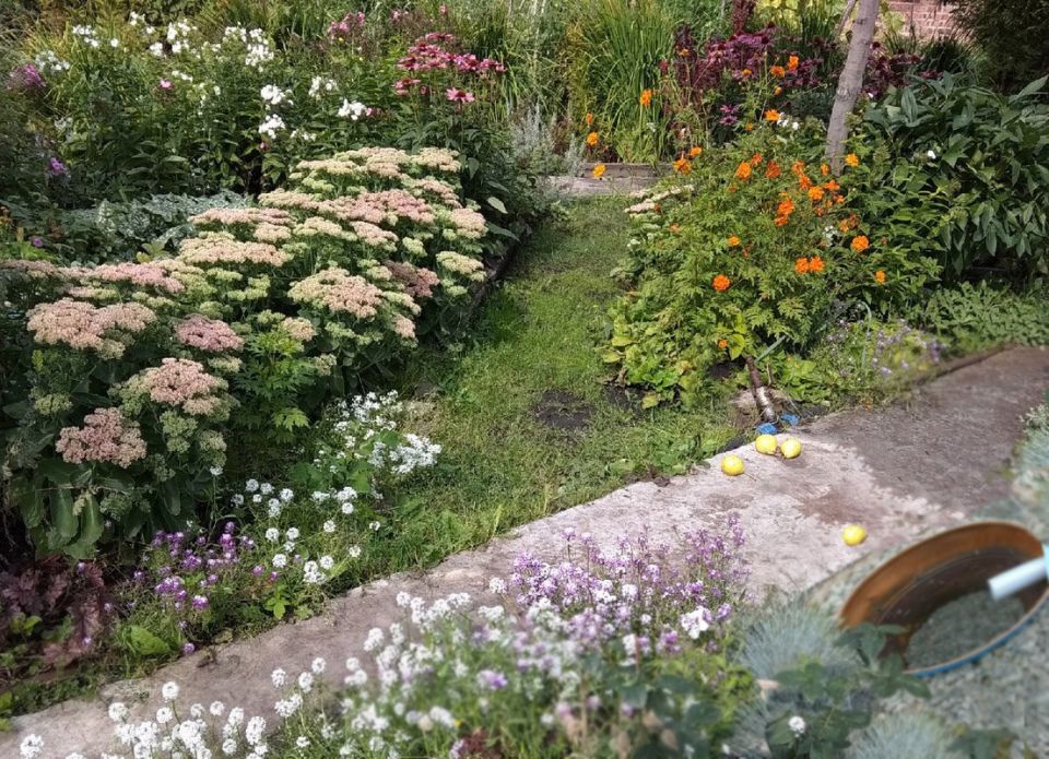 Как правильно утилизировать воду после мытья посуды на даче