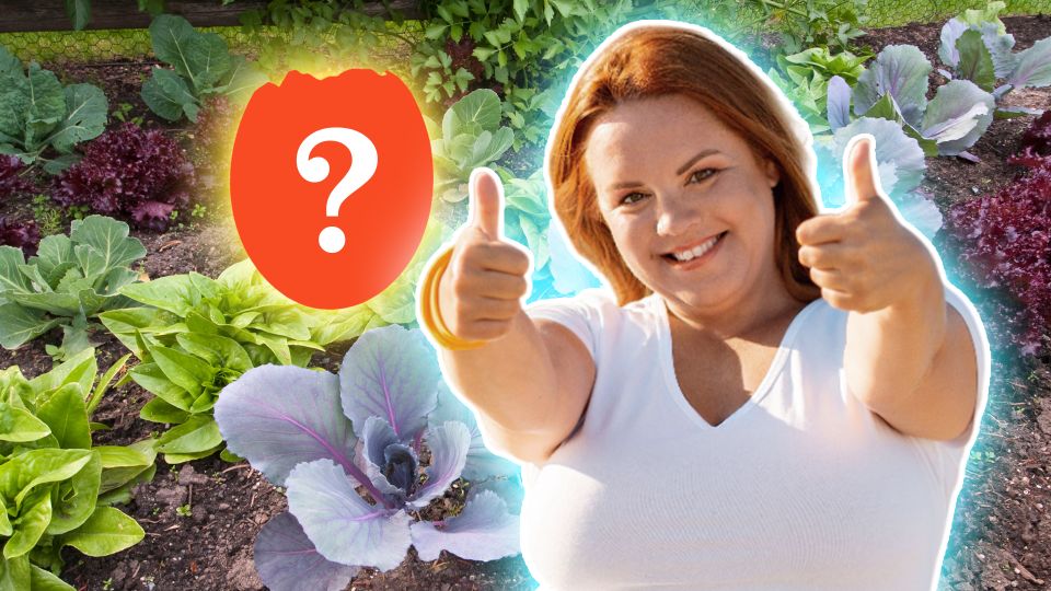 Зря раньше выбрасывали: эта копеечная «безделушка» станет идеальным удобрением для грядок