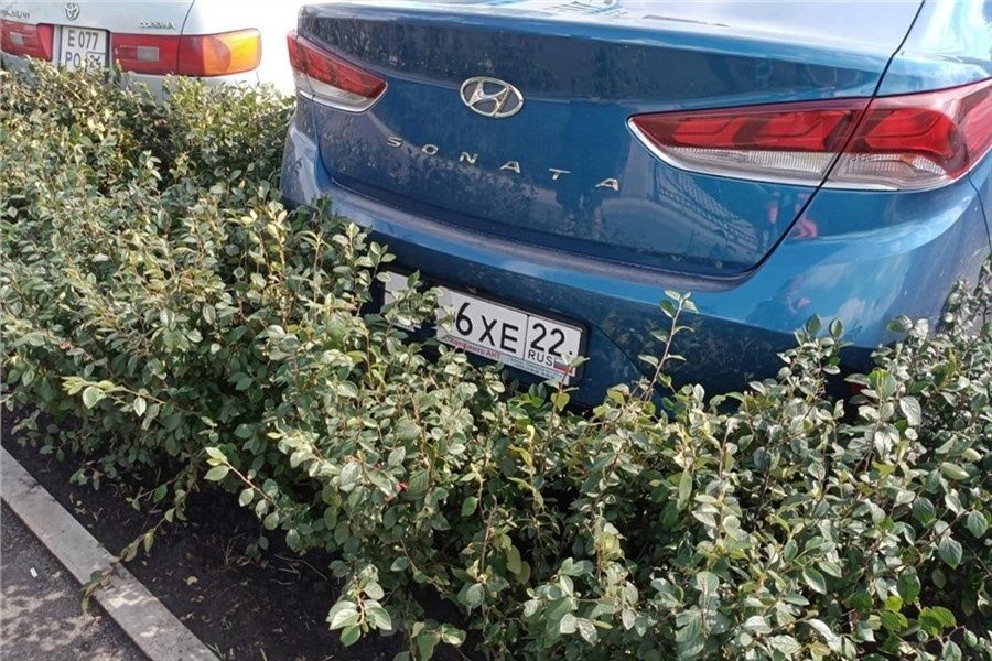 Лишение водительских прав за наезд на куст: как избежать серьезных последствий