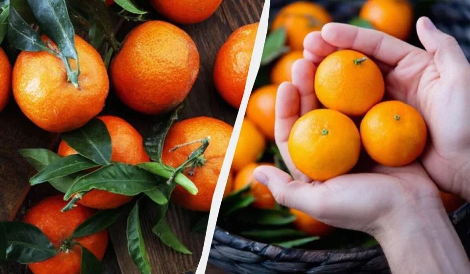 Как быстро сделать кислые мандарины сладкими: секреты, которые удивят вас