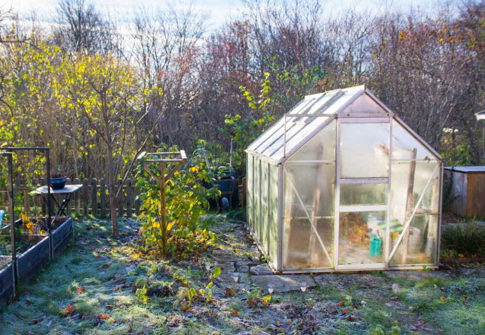 Зимняя подготовка сада: ключевые советы для заботливых дачников