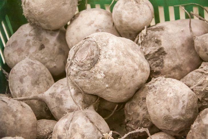 "Дополнение к разным блюдам": как приготовить свекольный соус — вкусный вариант