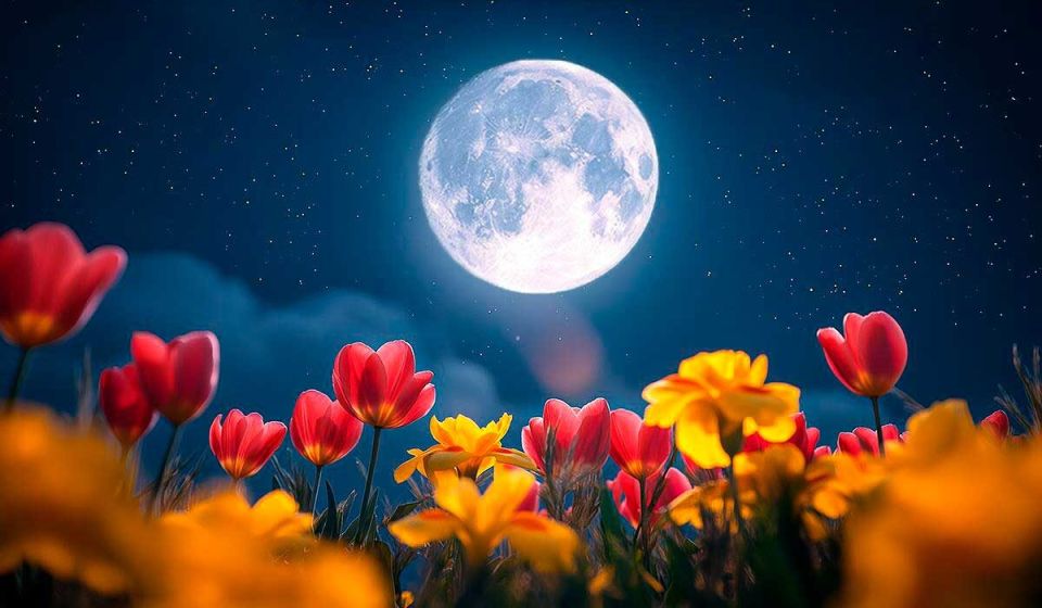 Цветочная Луна в мае: момент для перемен и предостережений