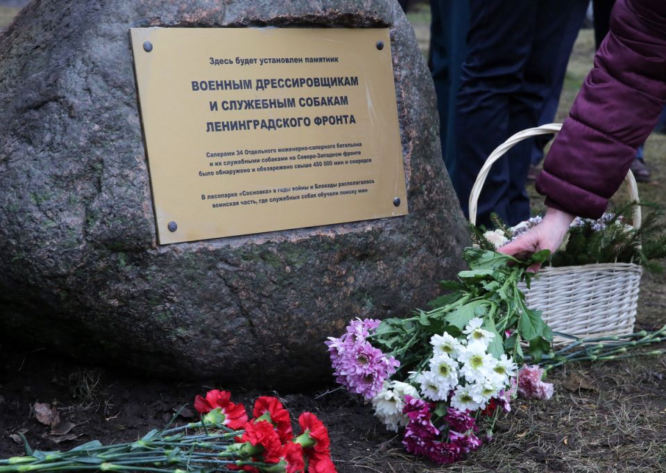 Новые меры по защите истории: тюремный срок за неуважение к памяти защитников Отечества