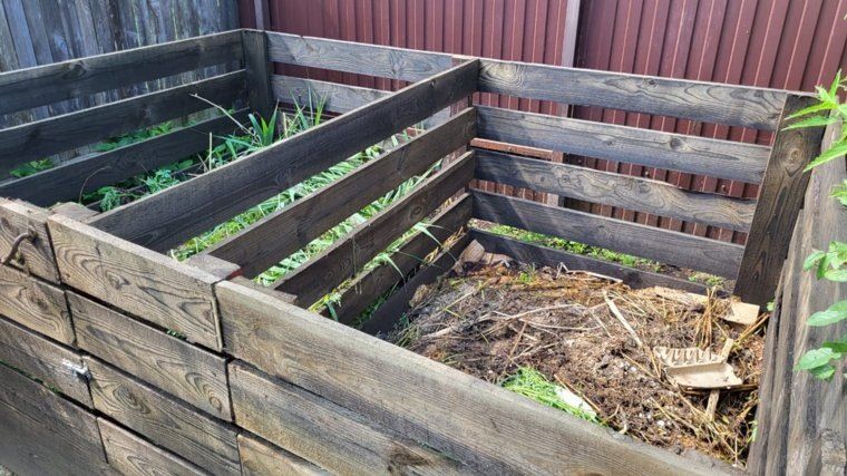 Что стоит и чего лучше избегать в компостной куче: полезные советы для садоводов