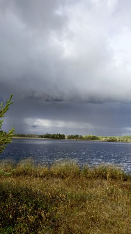 Карельские сокровища: чем удивила природа в этом сезоне