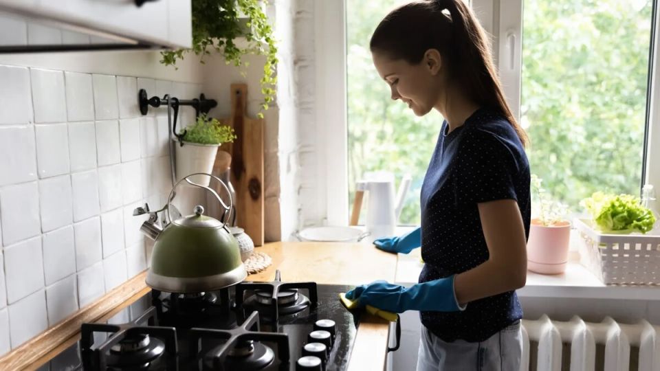 Госдума предлагает новые пособия для домохозяек: ежемесячные выплаты по прожиточному минимуму