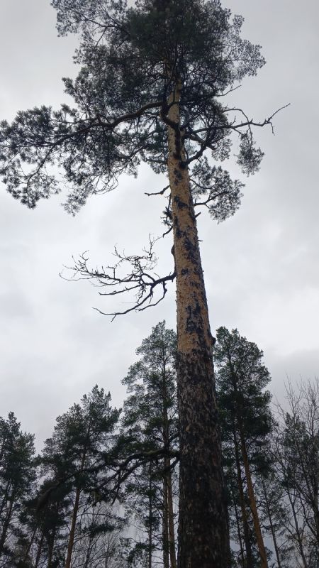 Как справляться с тревогой о здоровье близких: советы и рекомендации