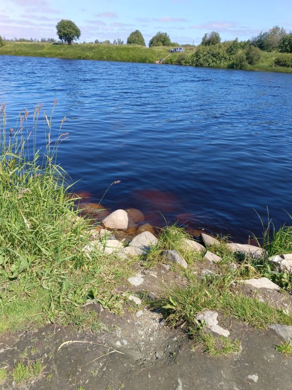 Непокоренные: как 90-е стали испытанием на выносливость для миллионов россиян