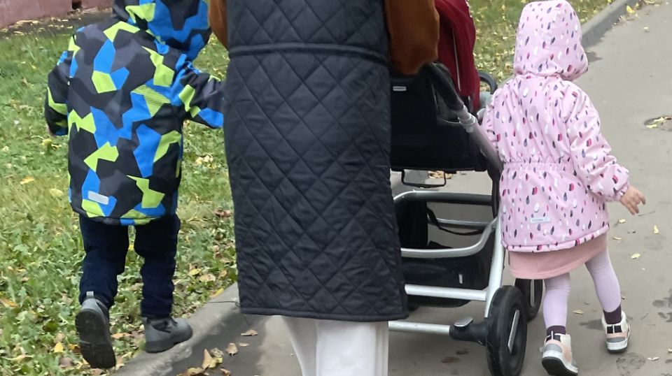 Ноябрь приносит новые выплаты: график пенсий и пособий в Брянской области