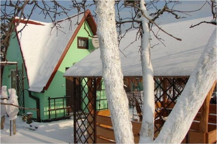 Зачем обрезать деревья зимой: 4 неоспоримых аргумента