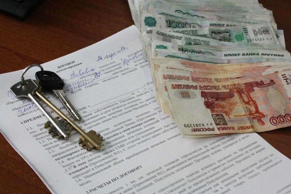 Неожиданные соседи: как покупка квартиры обернулась настоящей головной болью