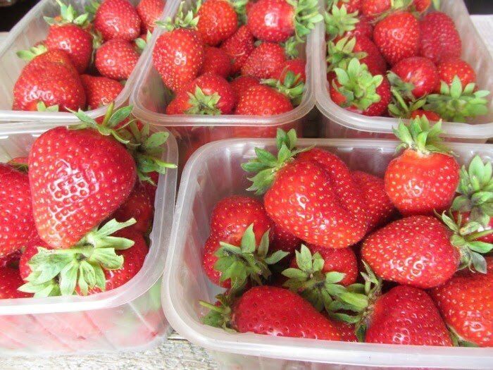 Как соседка отказалась от воровства клубники под влиянием хитрости и молвы